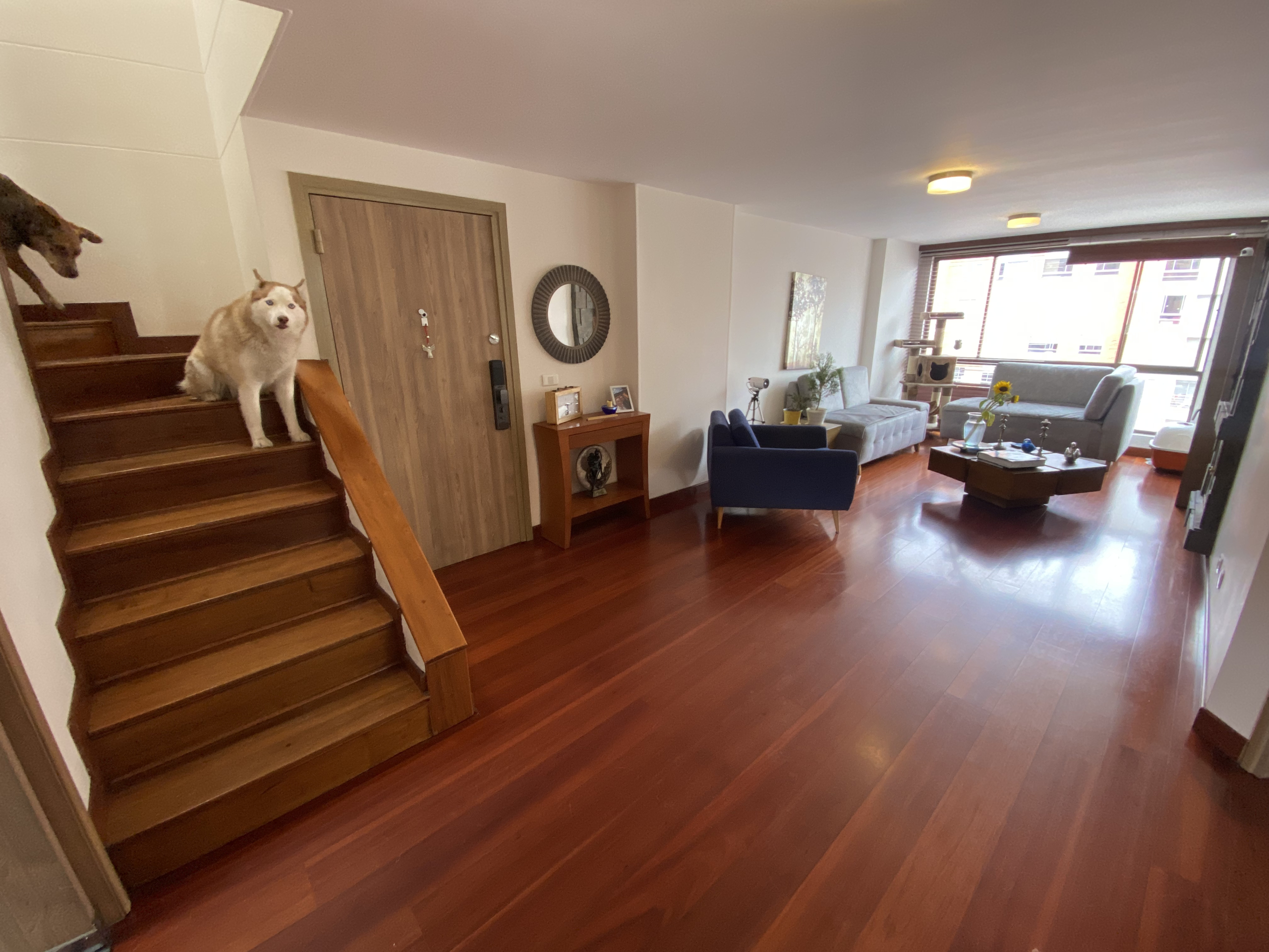 43E459A4-EA2D-4E43-ADF3-74D85549B876