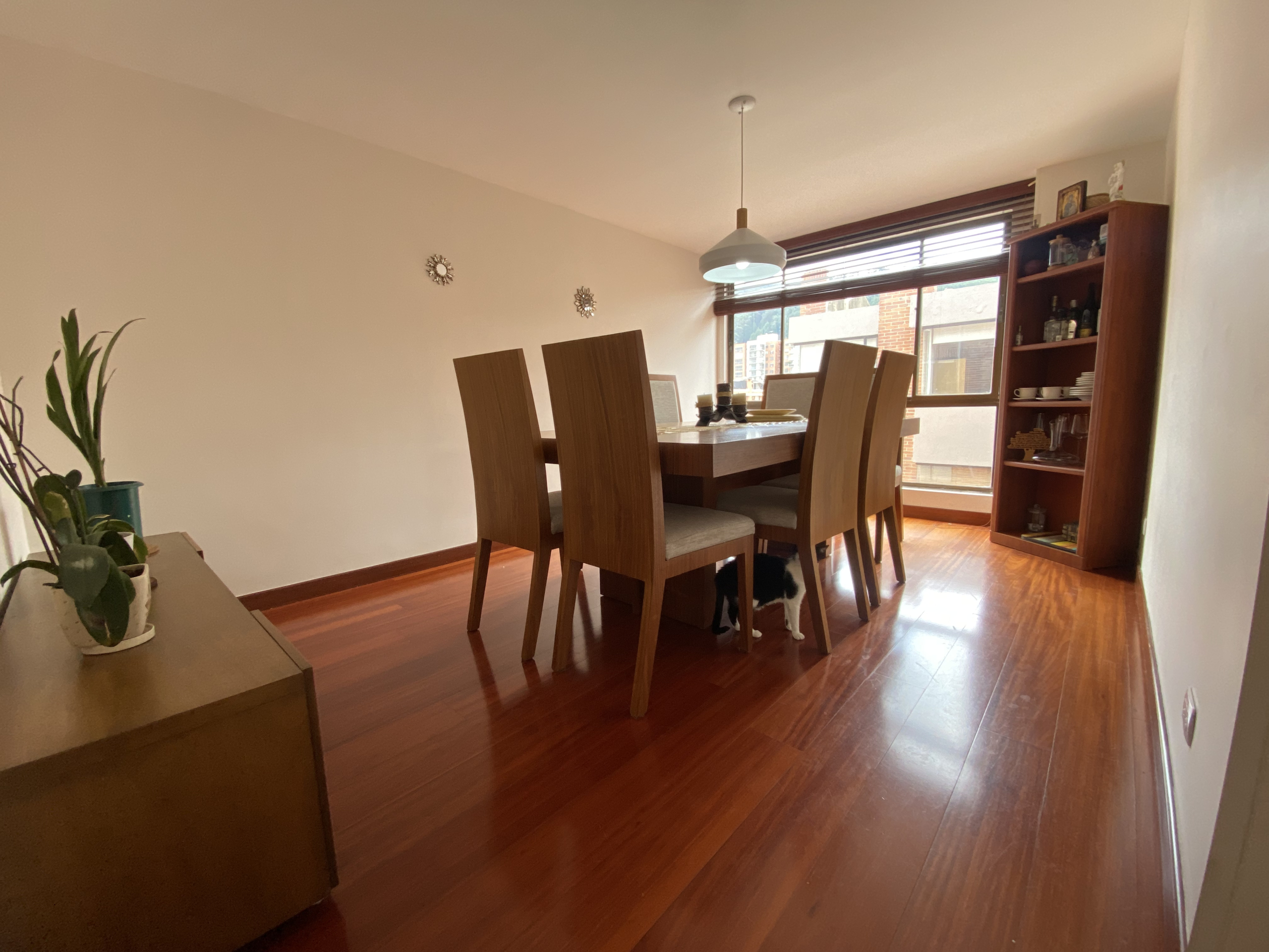 B3E4A9EE-F354-4982-9C16-B2736D4D6B3F