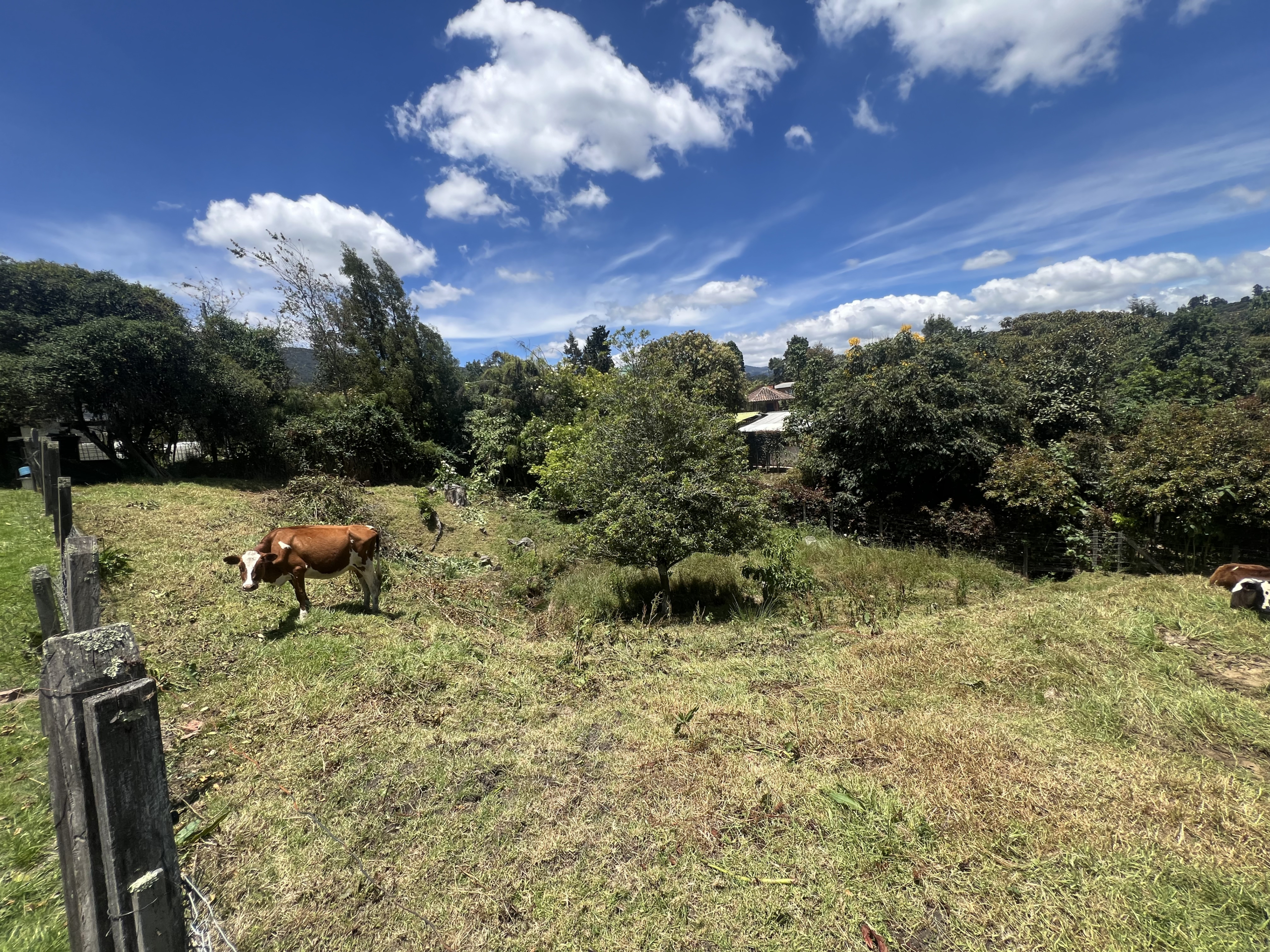 109A2B6A-542A-4410-B2B9-08ECCD1D59E9