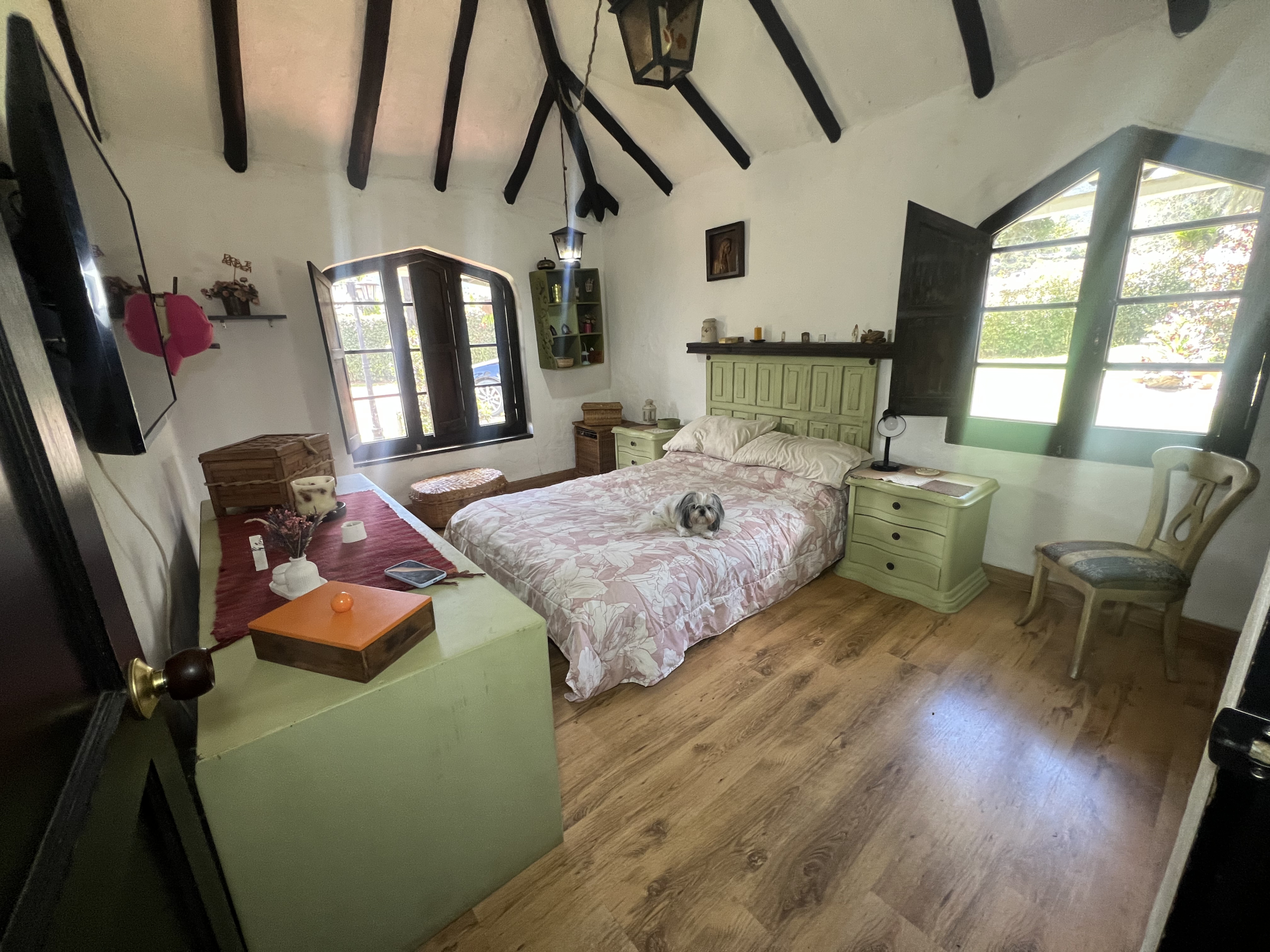 20BEBEF9-5B74-4BEF-9A84-ED727C0CF536