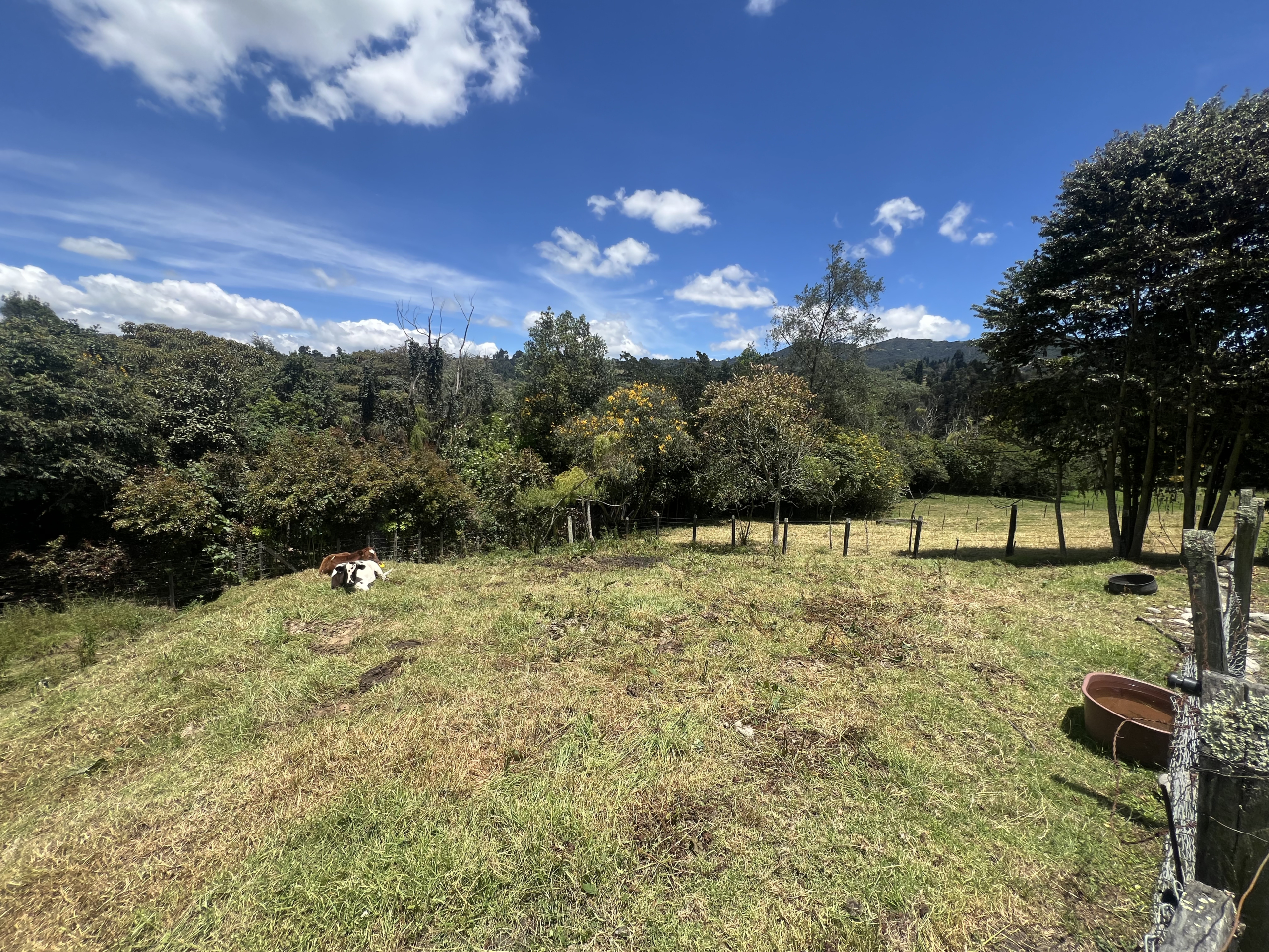 B31FC303-3E1B-416E-8A1D-14BF7982AB48