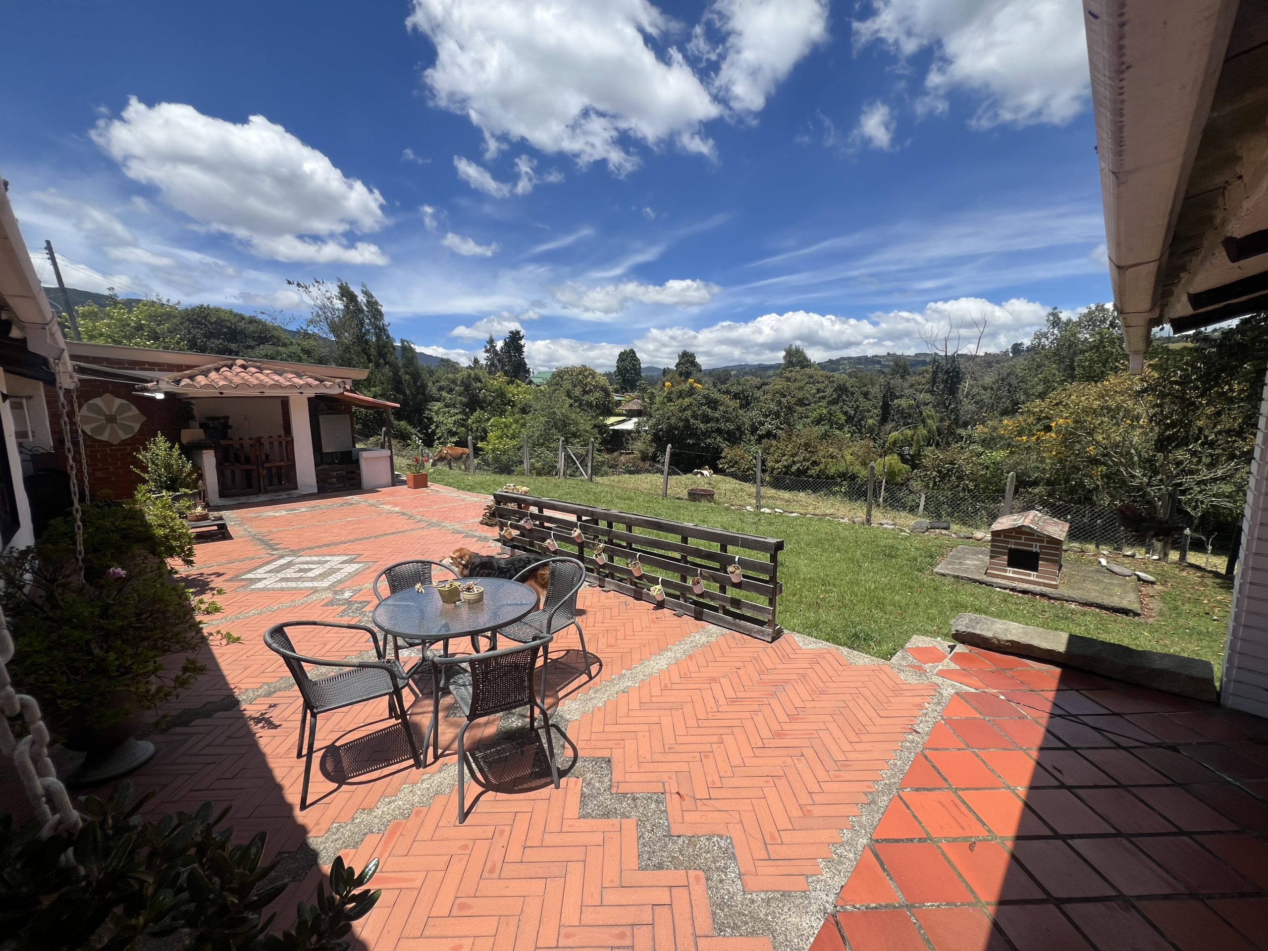 C2045D61-7E35-43DF-A004-89705BB46E97