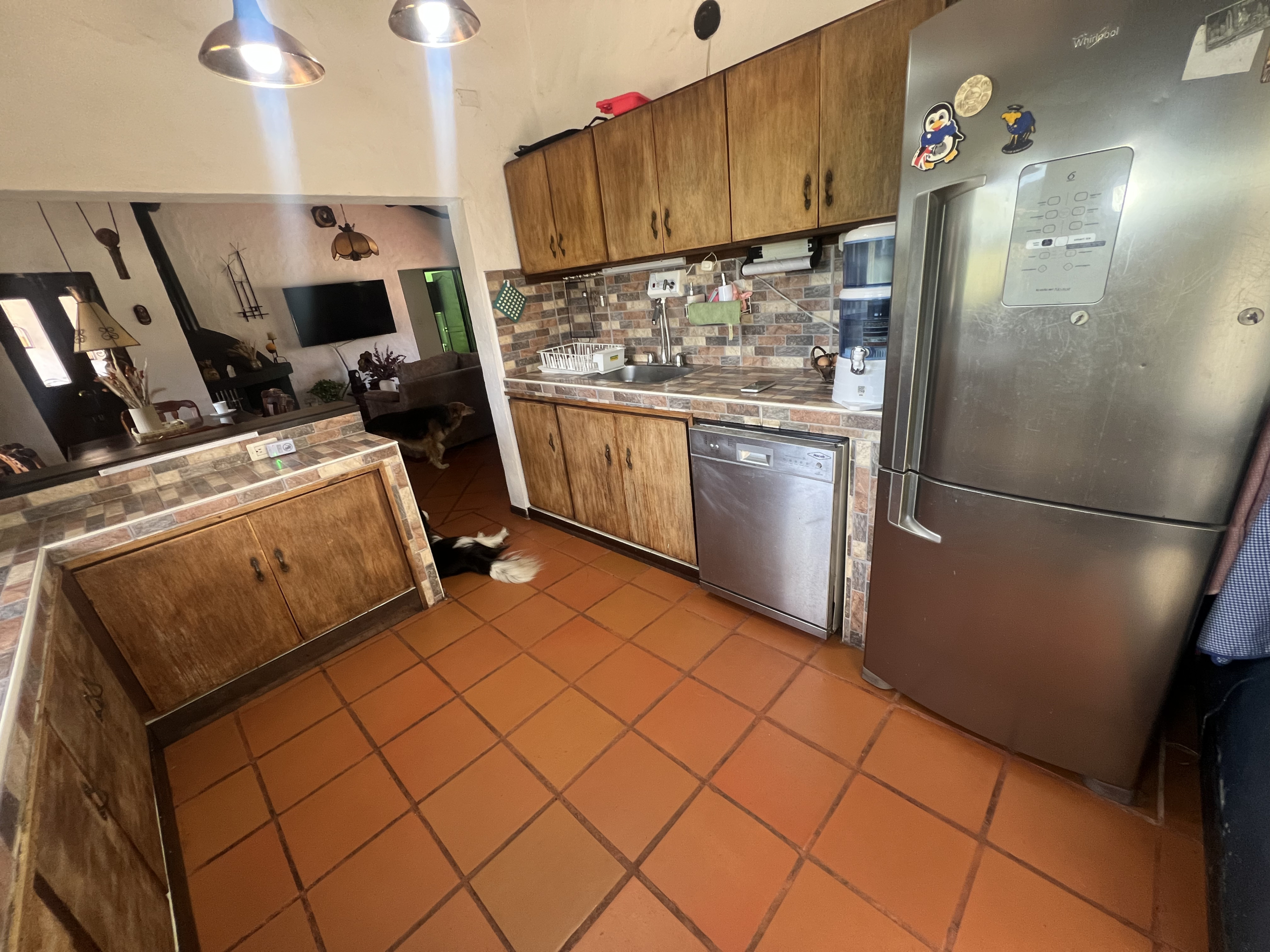 D16C8491-A6F5-4E8E-9D8F-A6A3C85D503E